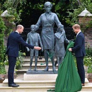 Prince William and Prince Harry Diana Tributes
