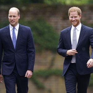 Prince William and Prince Harry Reunite Princess Diana Statue Unveiling Amid Feud 5