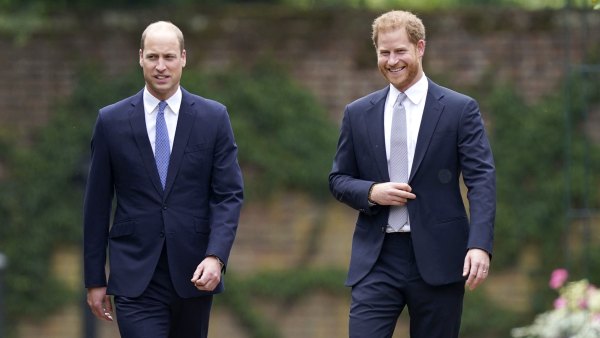 William Harry Put United Front Diana Statue Unveiling