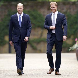 William Harry Put United Front Diana Statue Unveiling