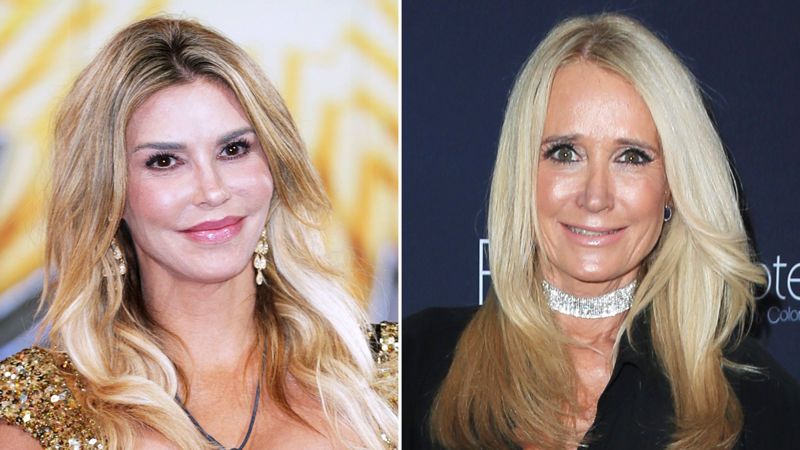 Brandi Glanville Reveals She Isn't Speaking to 'Real Housewives of Beverly Hills' Costar Kim Richards After 'Hot Tub Fight'