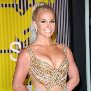 Britney Spears Denies Pregnancy and Boob Job With Topless Pic