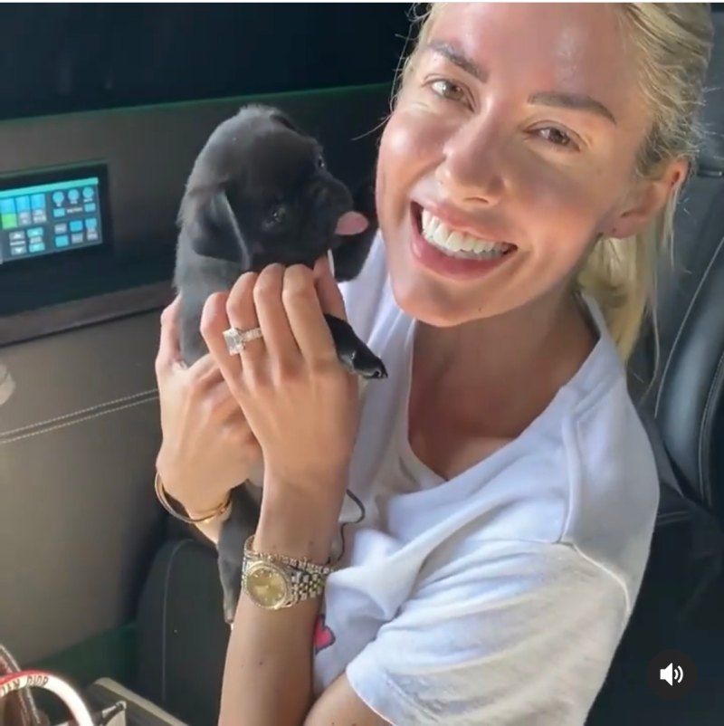 Heather Rae Young and Tarek El Moussa get a puppy