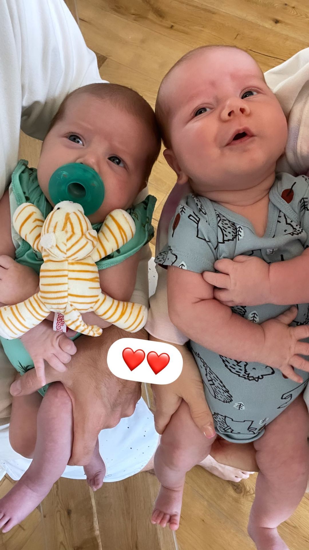 Lauren Burnham Arie Luyendyk Jr S Twins Senna Lux S Cutest Photos