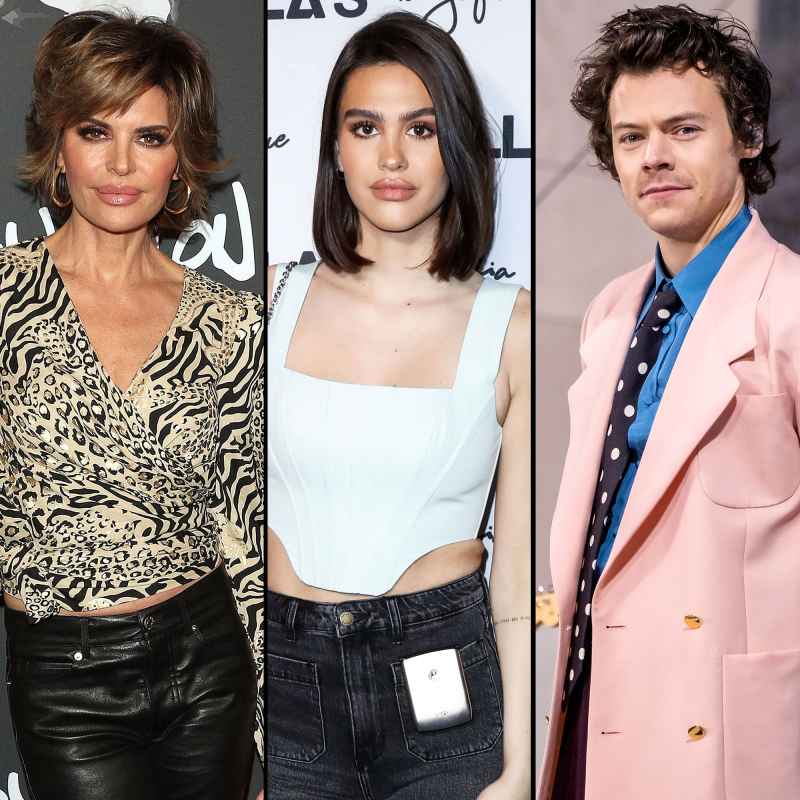 No Scott? Lisa Rinna Jokes She Wishes Daughter Amelia Was With Harry Styles