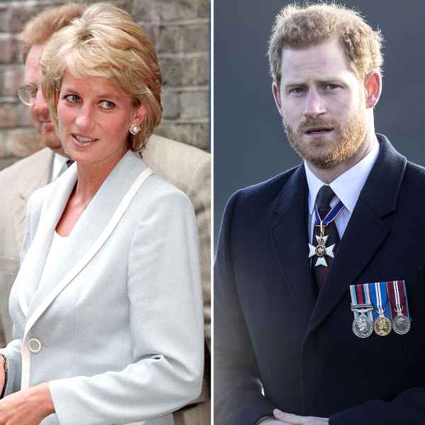 Princess Diana Would 'Completely' Support Prince Harry's Book | Us Weekly