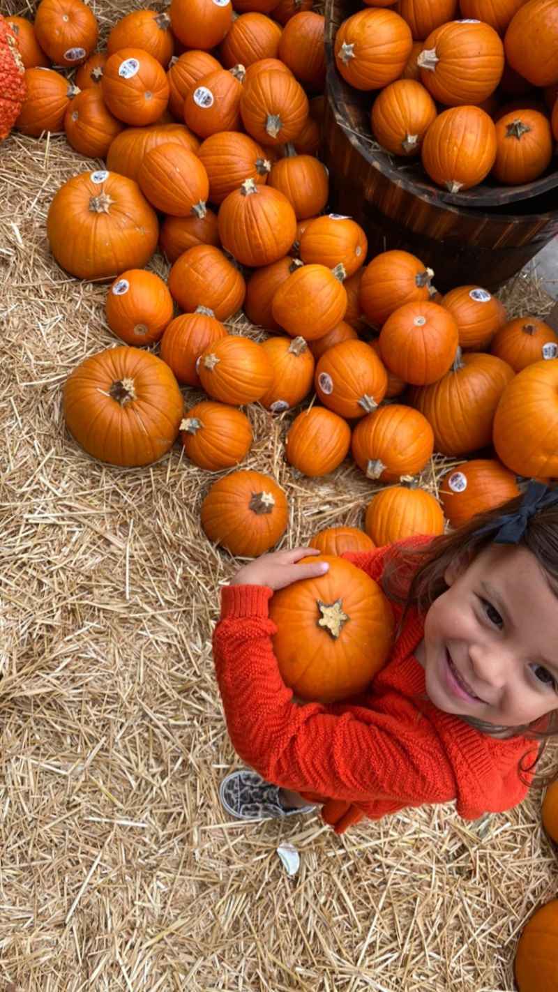 Celebrity Families' Pumpkin Patch and Apple Picking Photos Daniele Donato