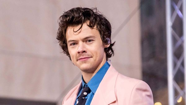 Harry Styles Is The Ultimate Matchmaker During Love Tour Concerts