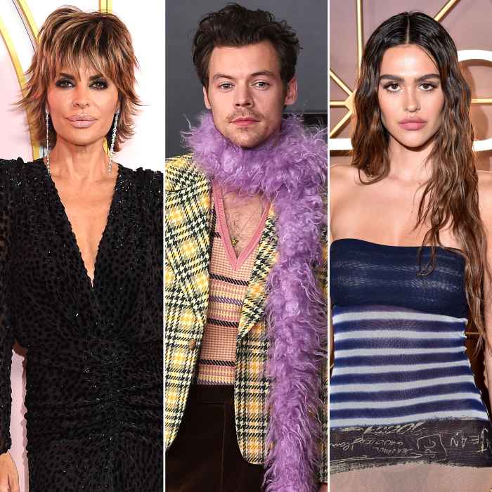 Lisa Rinna Continues to Support Harry Styles After Daughter Amelia Gray Hamlin Split From Scott Disick