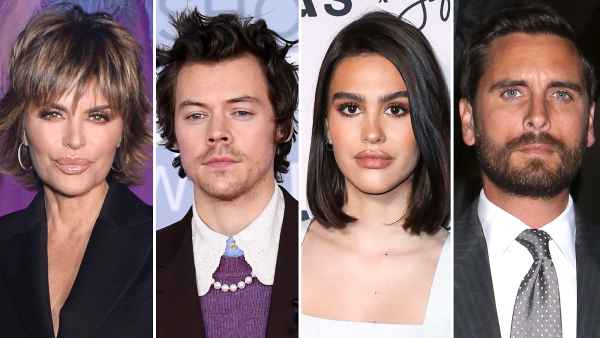 Lisa Rinna Posts Photo of Harry Styles After Shading Amelia Gray Hamlin Boyfriend Scott Disick