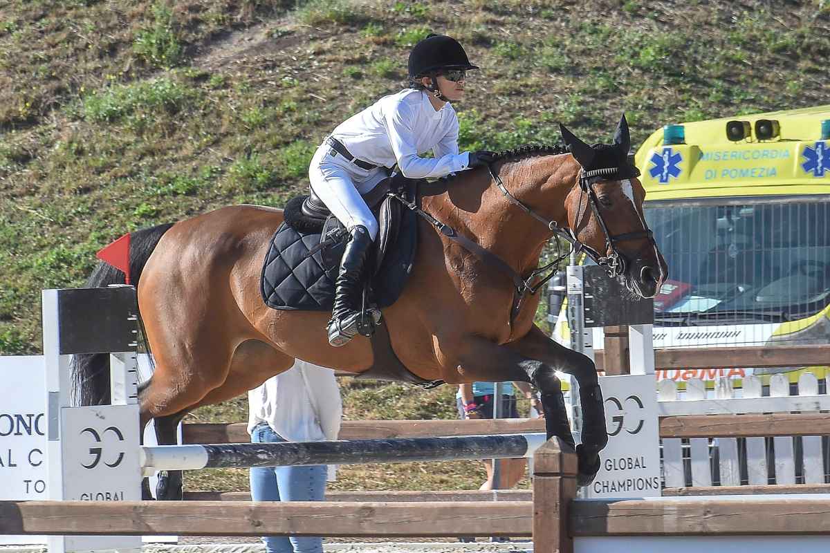 Mary-Kate Olsen Returns to Horseback Riding Competition: Photos | Us Weekly