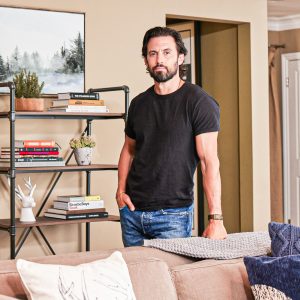 Milo Ventimiglia Lowes Collection Home Decor
