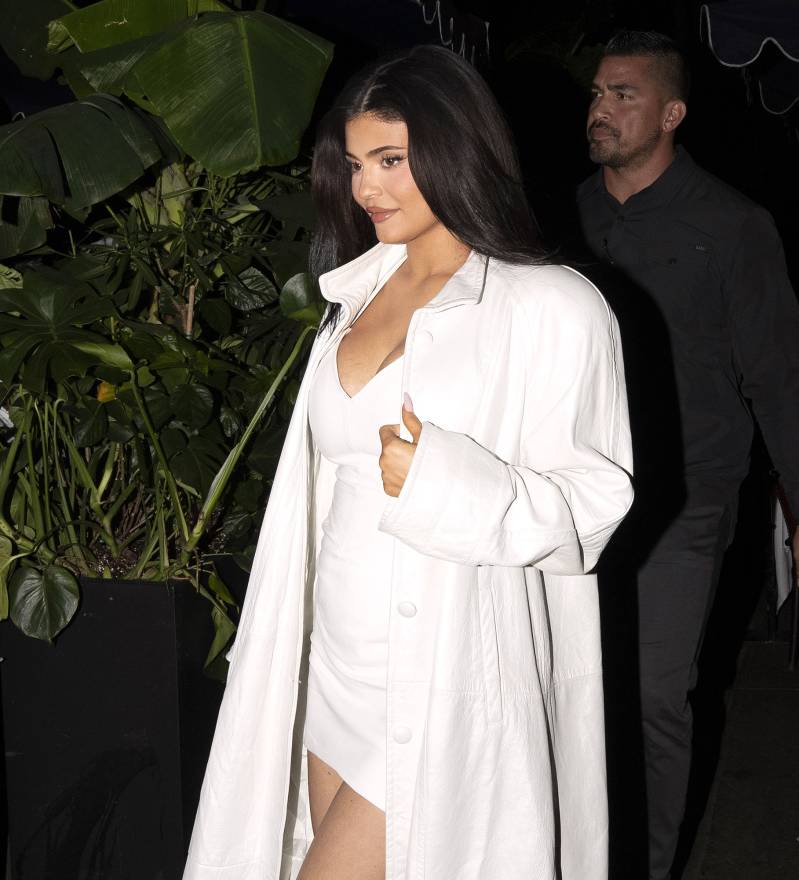 Pregnant Kylie Jenner Steps Out for 1st Time Since Announcement 3