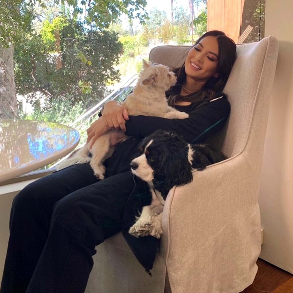 Pregnant Olivia Munn Shows Baby Bump While Cuddling With Dogs Photo