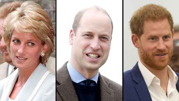 Princess Diana Loved Doing This 1 Activity With Sons William and Harry