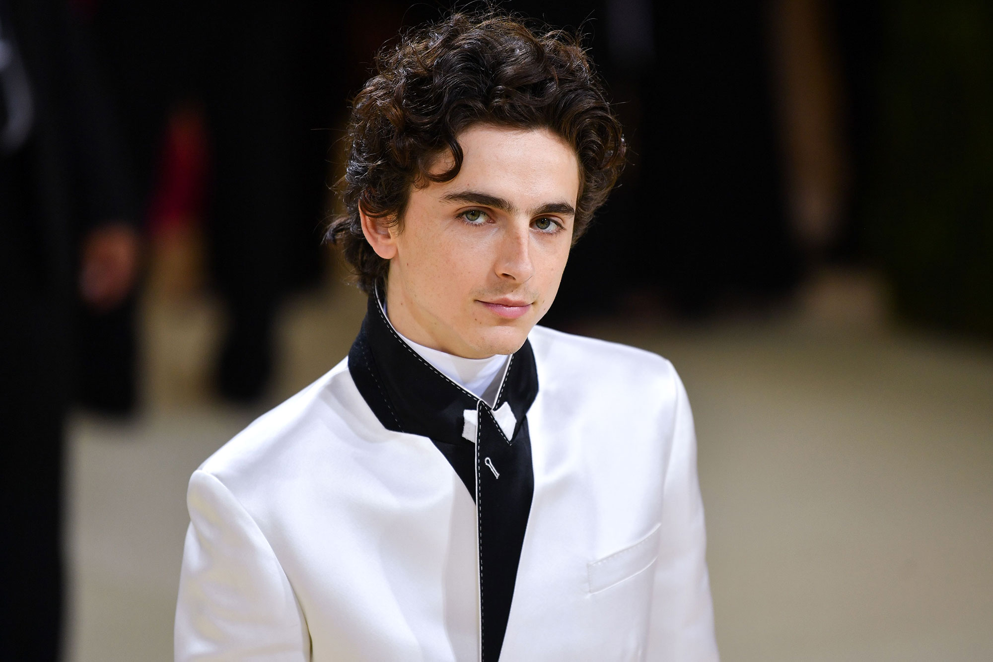 Timothée Chalamet Wore A Belted Silver Suit And Now We All Want One