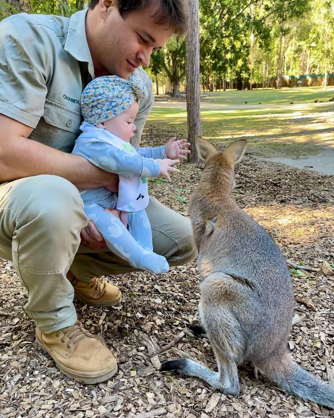 Wallaby Lover! Bindi Irwin and Chandler Powell's Daughter Meets Zoo Animals