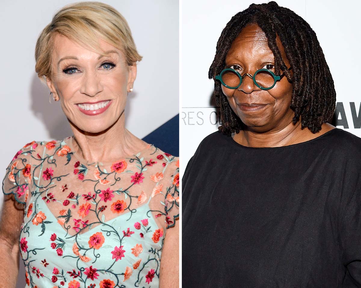 Barbara Corcoran Apologizes to Whoopi Goldberg for The View Joke picture