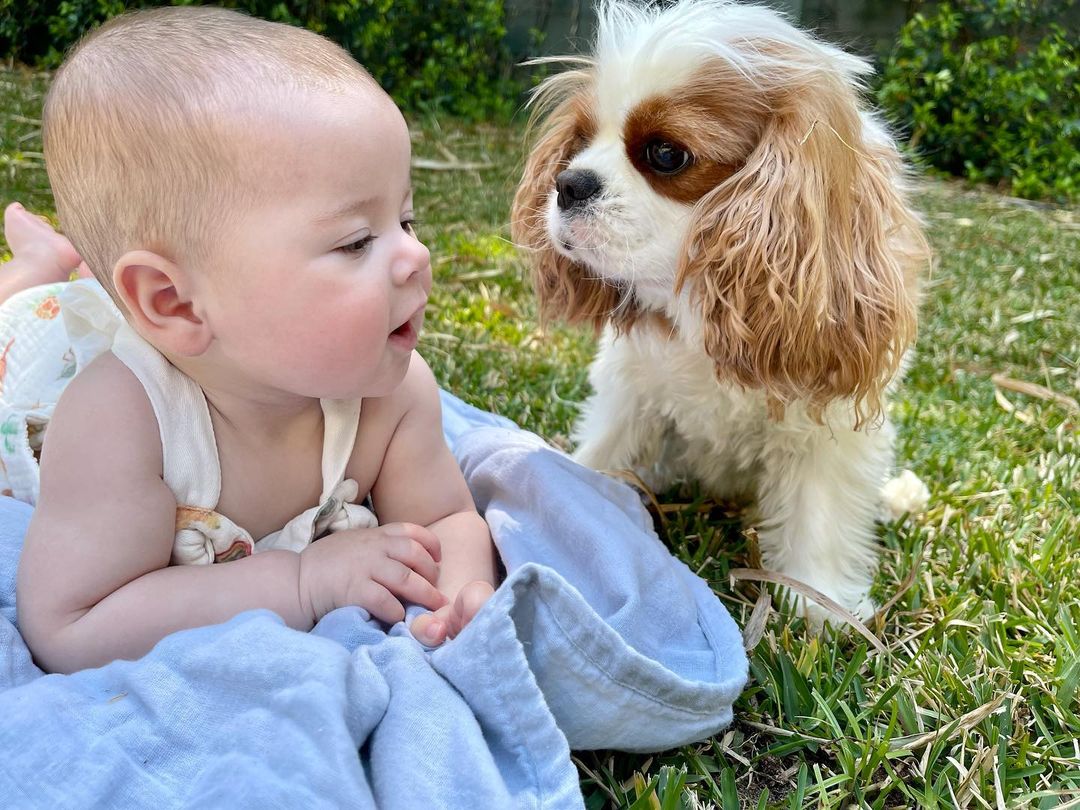Bindi Irwin and Chandler Powell's Daughter Meets Zoo Animals Puppy