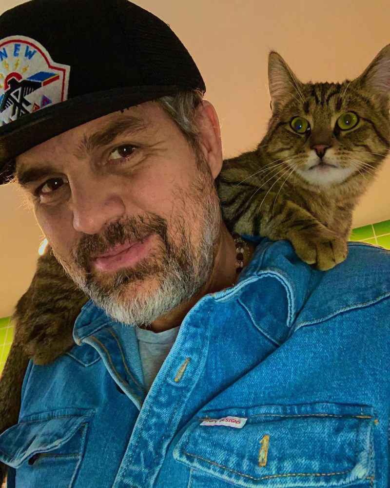 Mark Ruffalo Celebs Who Are Obsessed With Their Cats