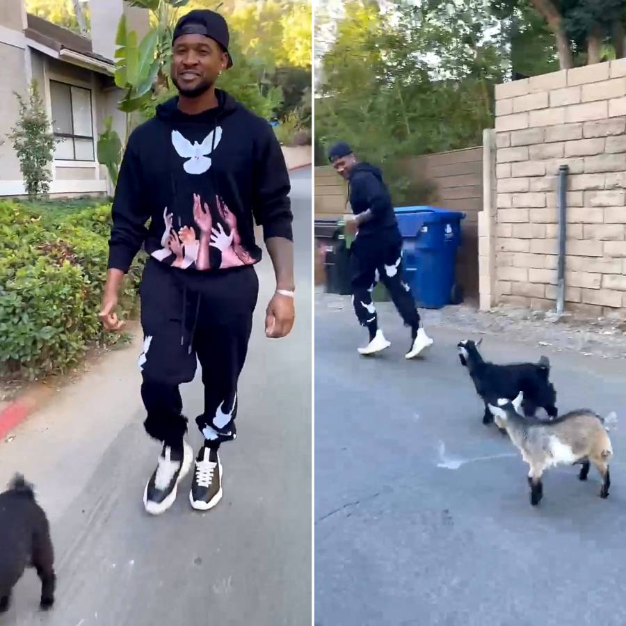 Celebs With Their Pets Usher