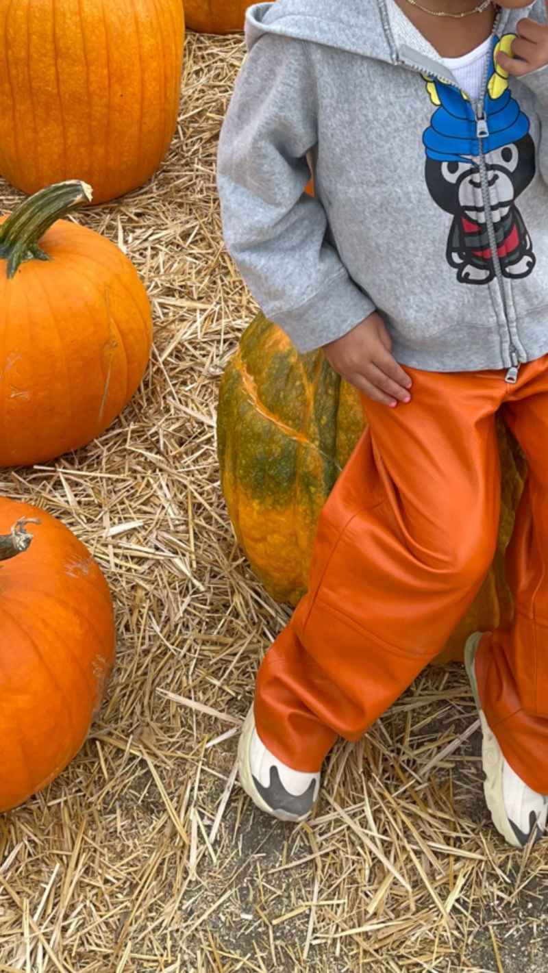 Fall Fun! Pregnant Kylie Jenner Takes Daughter Stormi to a Pumpkin Patch Promo