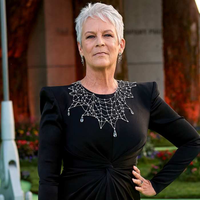 Jamie Lee Curtis Says Plastic Surgery Is 'Wiping Out Generations of Beauty'