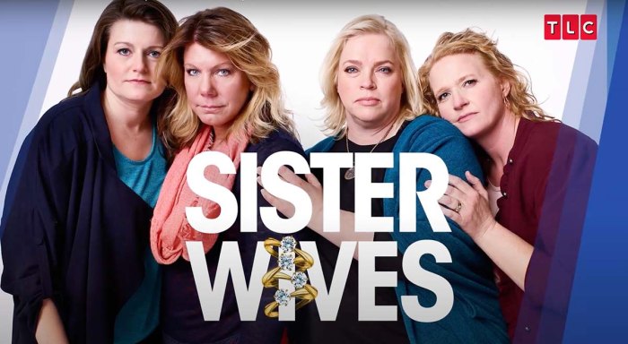 Janelle Brown Is Her Wits End In Sister Wives Season 16 Trailer