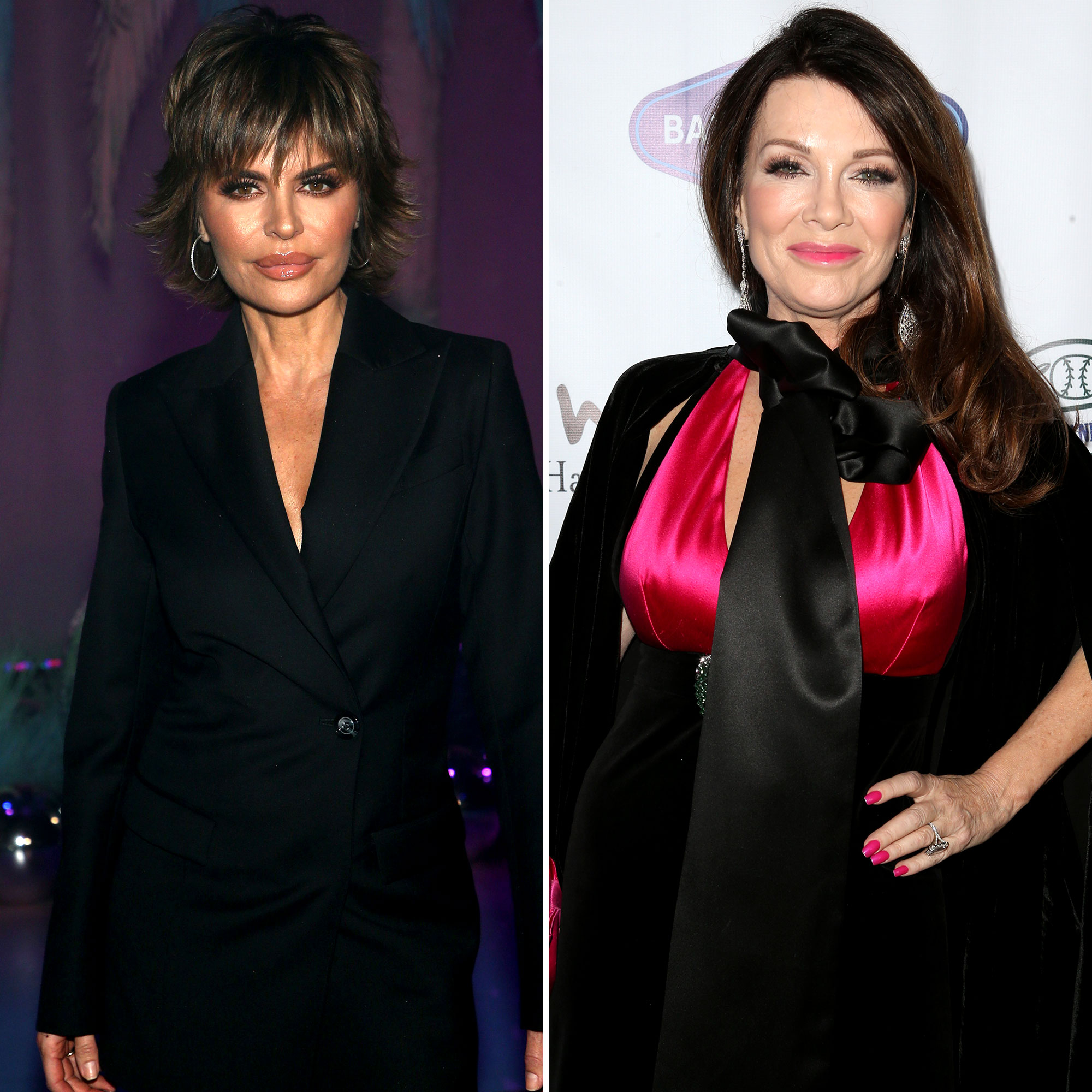 Lisa Rinna Reacts To Rhobh Producer S Puppygate Claims