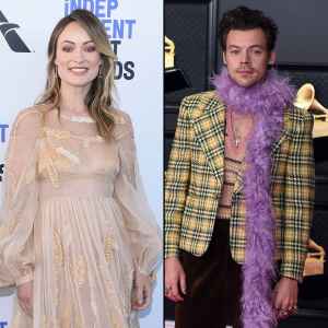 Olivia Wilde's Parents 'Adore' Harry Styles: How They Sweetly Supported Singer at NYC Concert