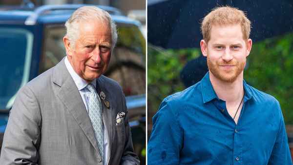 Prince Charles Expects Prince Harry's Book to Put Him in the 'Firing Line,' Royal Expert Claims