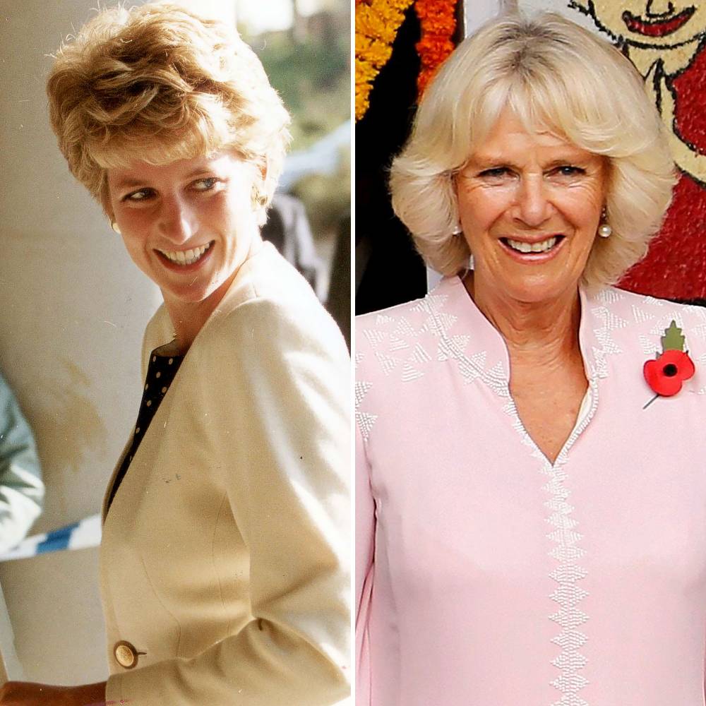 Princess Diana's Duchess Camilla Fixation Began on Wedding Day, Expert Says