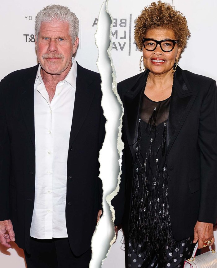 Ron Perlman Ex Wife Opal Settle Divorce 2 Years After Their Split