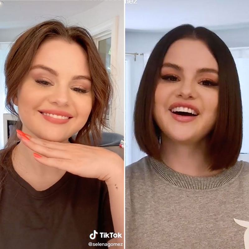 Selena Gomez Demi Lovato, Bella Hadid and More Celebrity Hair Transformations of 2021