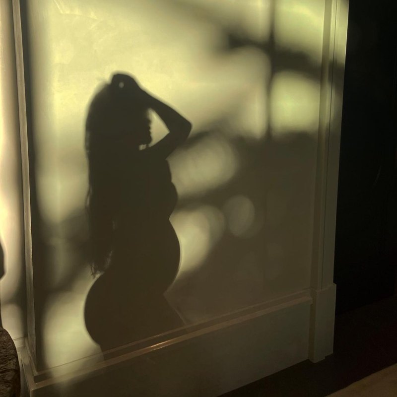 Silhouette Shot! Pregnant Kylie Jenner Shows ‘Growing’ Baby Bump