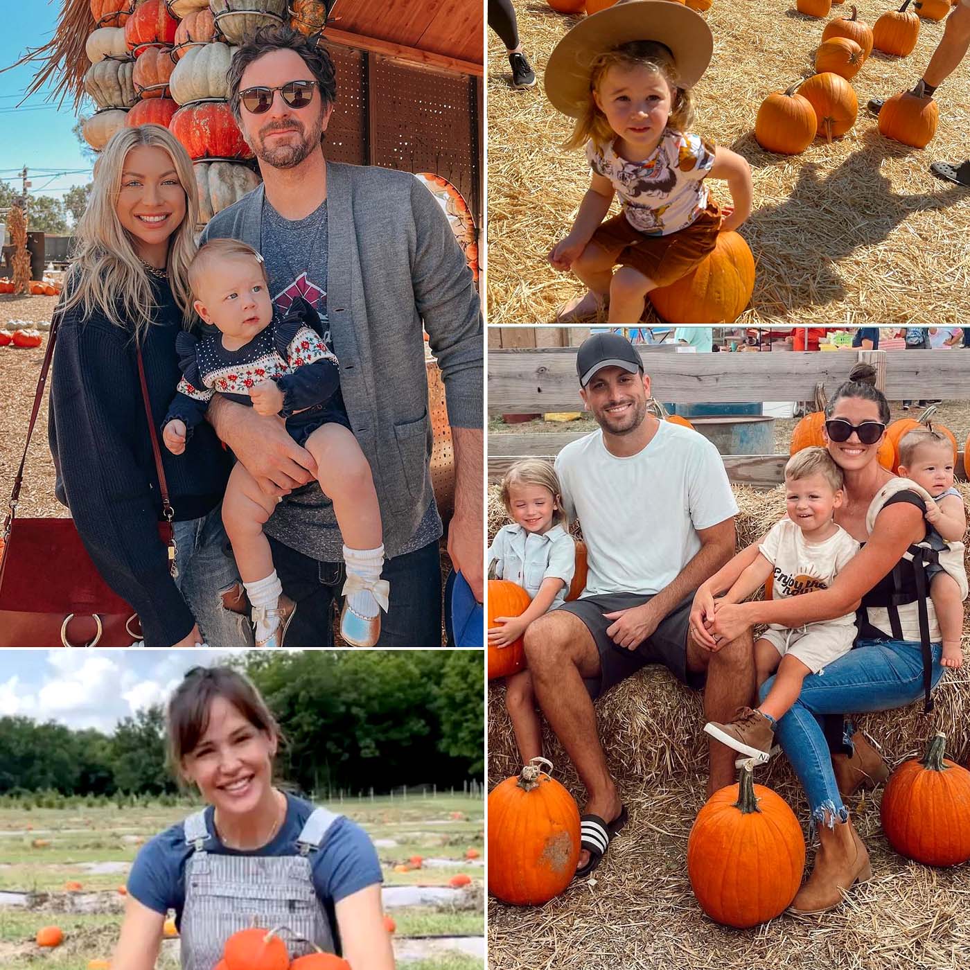 Stars Pumpkin Patches Through the Years