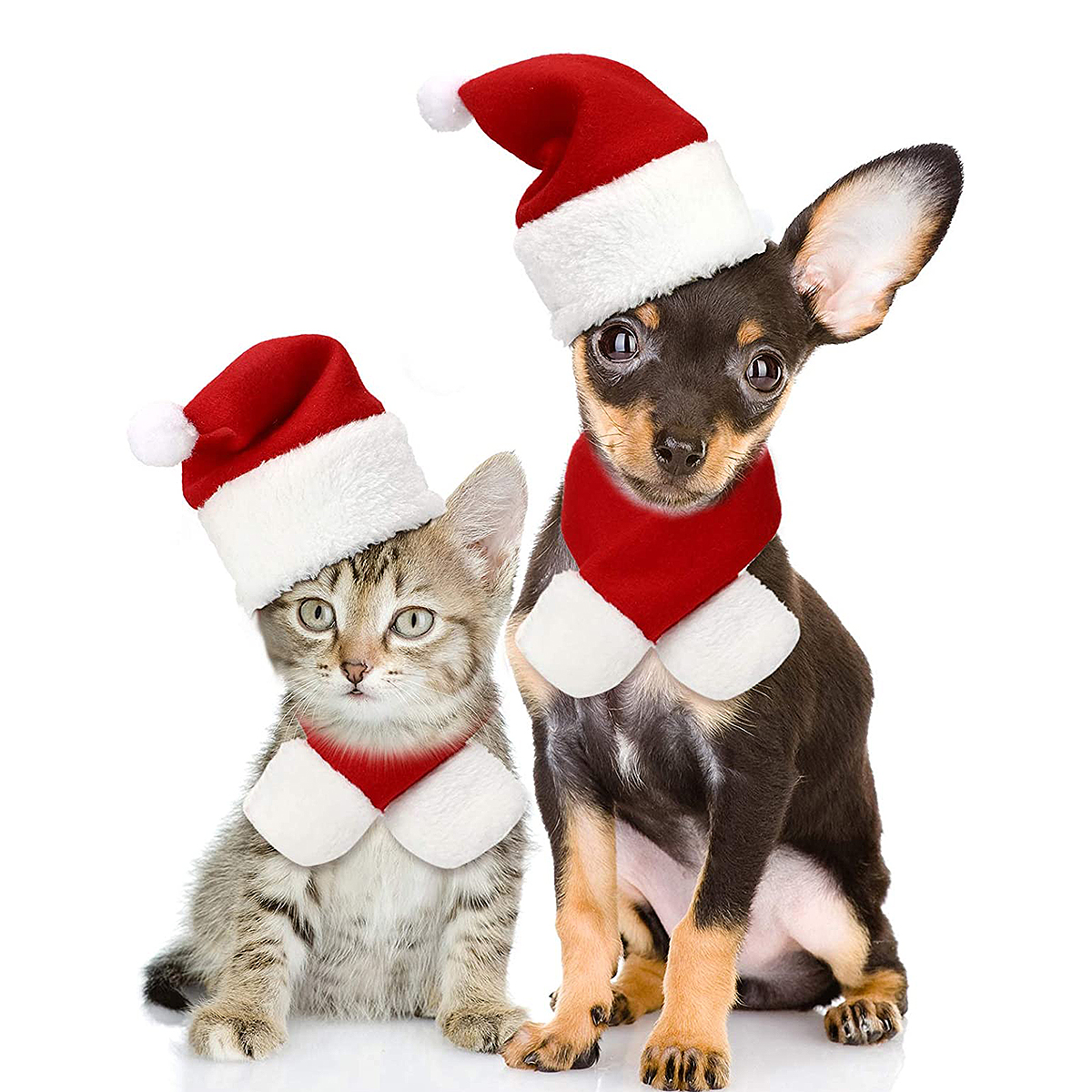 Perfect for Holloween,Holiday Christmas Cat Costume with Hat and Scarf for Small Dogs Photos PULEIDI Pet Dog Cat Santa Hat Costume Christmas,Party 