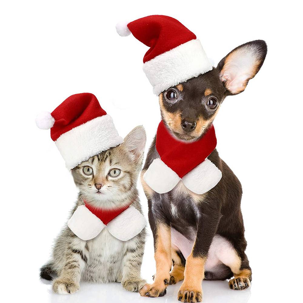 amazon-pet-holiday-costumes-santa-hat