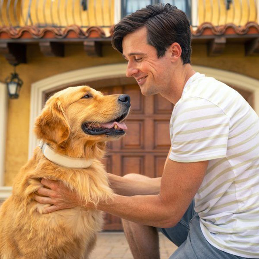 holiday-gifts-pet-lovers-halo-collar