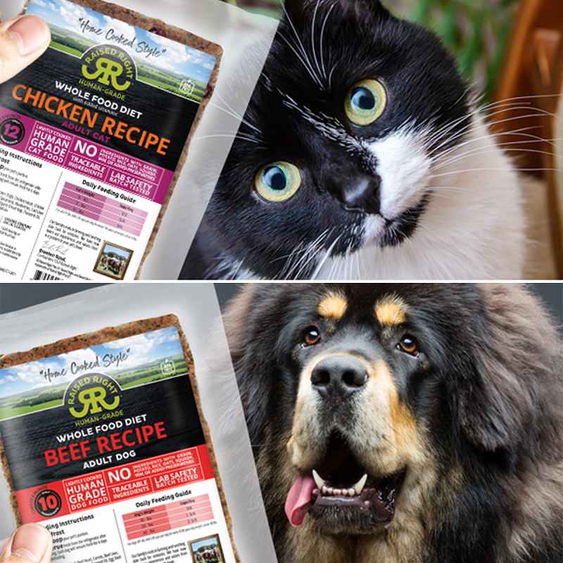 holiday-gifts-pet-lovers-raised-right-meal