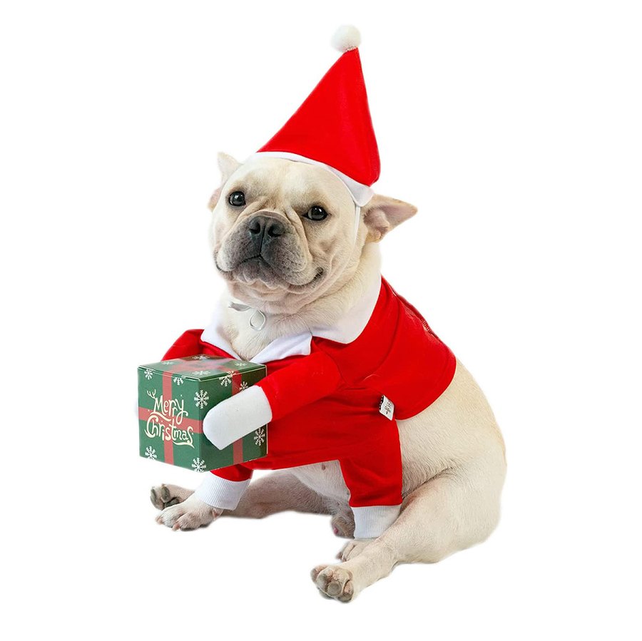 holiday-gifts-pet-lovers-santa-costume