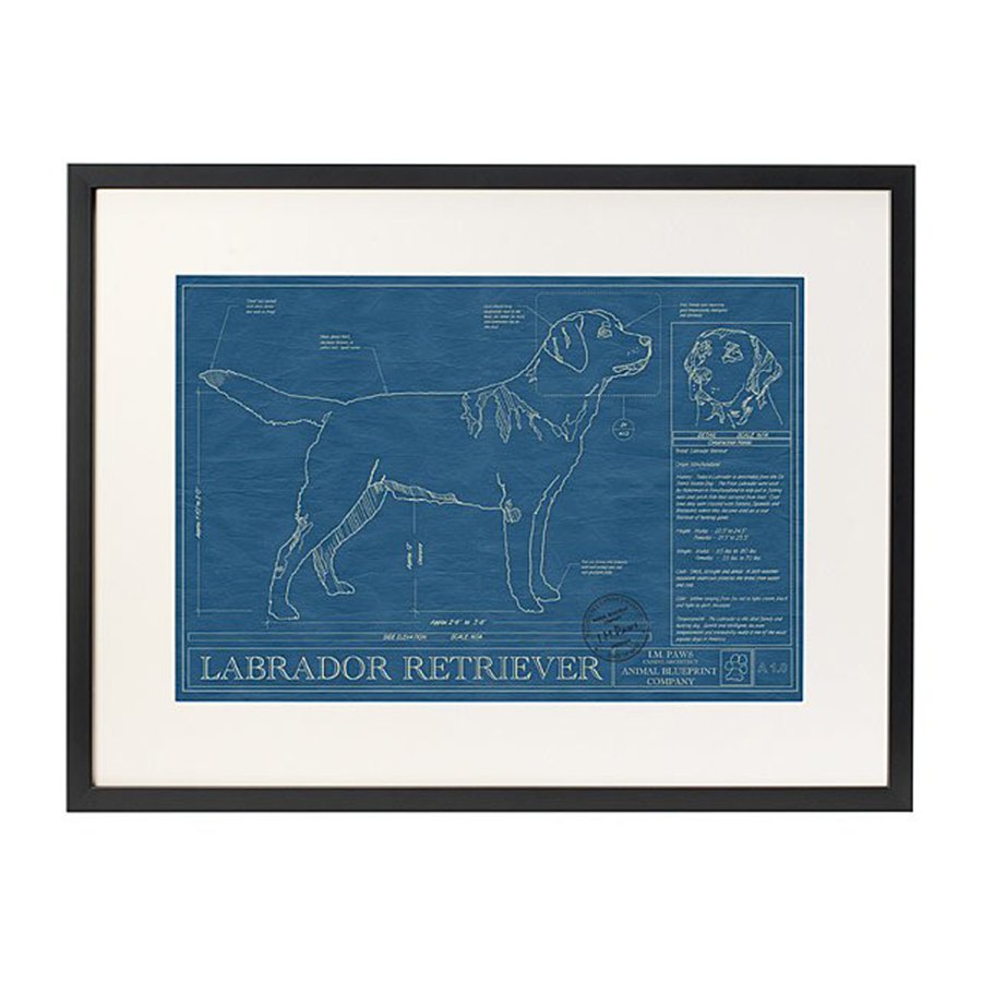 holiday-gifts-pet-lovers-uncommon-goods-dog-blueprint