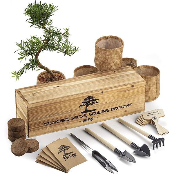 AVERGO Mini-Bonsai Plant Growing Kit