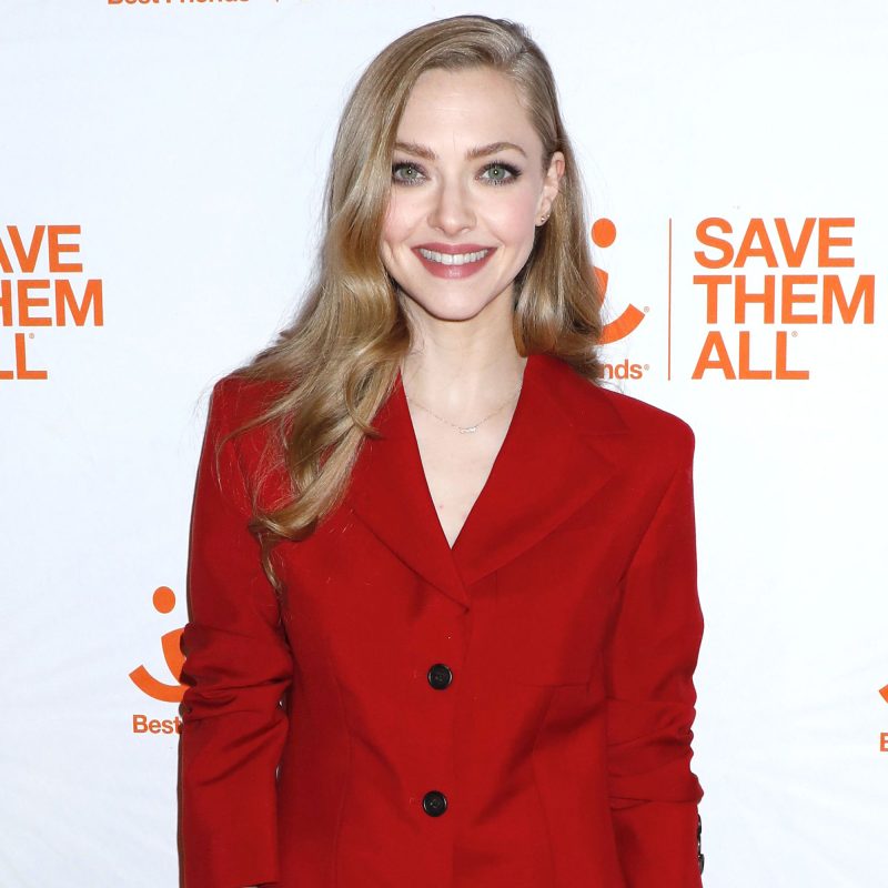 Amanda Seyfried Rare Photos With Kids Parenting Quotes Over Years