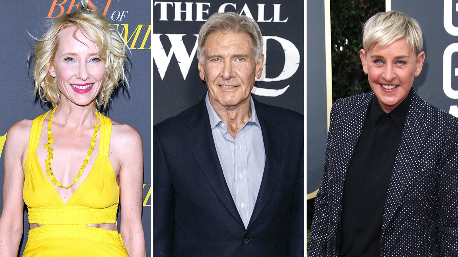Anne Heche Had Huge Pay Gap With Harrison Ford – But He's Still Her 'Hero' for Hiring Her Amid Ellen Romance
