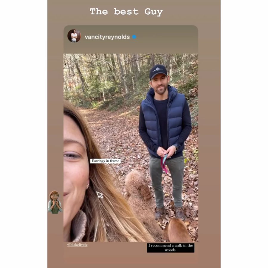 Blake Lively Calls Ryan Reynolds 'The Best Guy' After He Teases Her With Hiking Date Photo