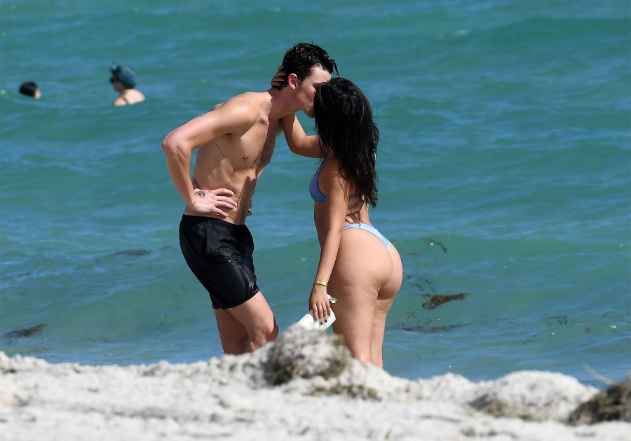 Camila Cabello and Shawn Mendes Packed on the PDA 2 Weeks Before Split