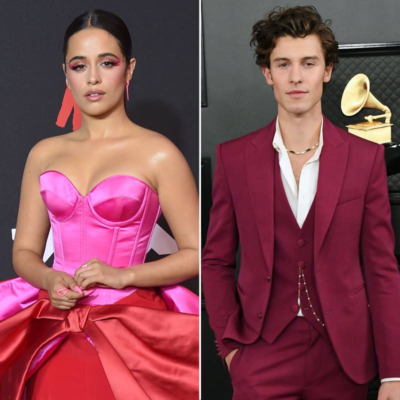 Camila Cabello and Shawn Mendes Still Have Ton of Love for Each Other Post-Split What Went Wrong
