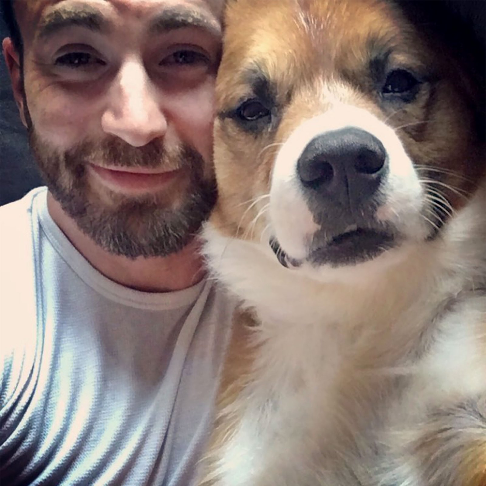 Gallery update: Chris Evans and His Dog Dodger: A Timeline of Their Pawsome Friendship