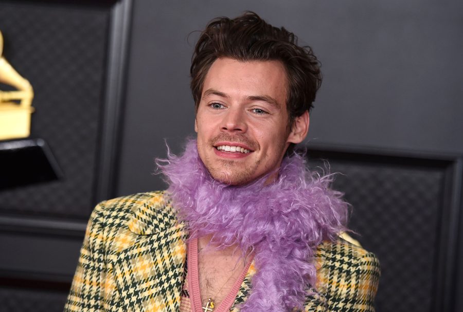 Harry Styles Gives Helpful Dating Advice to Former Couple at His Concert